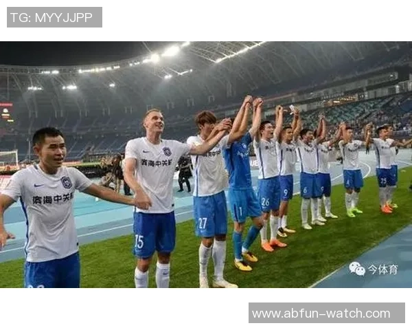 权健足球投资的崛起与挑战解析及未来发展展望